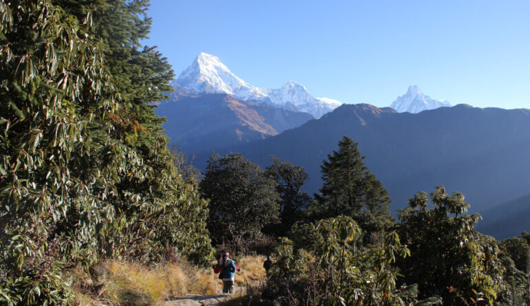 nepal-5044102_1920